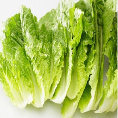 تاثیر پروتئین کاهو در بهبود سریع تر شکستگی استخوان
