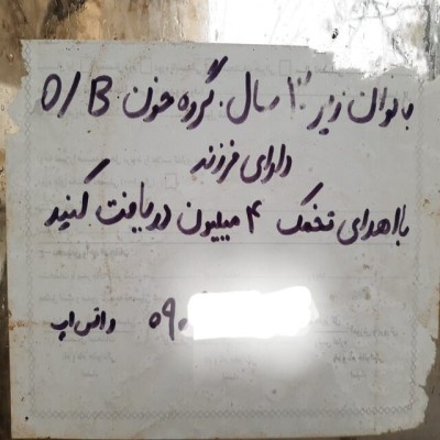 تجارت چراغ خاموش «اهدای تخمک»؛ معامله‌ای برای فروش «مادری»